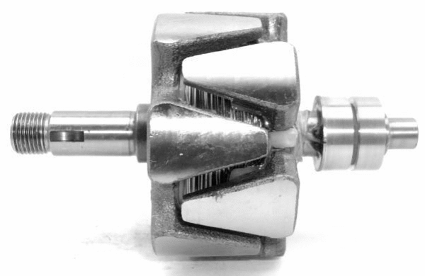 Rotor, alternator (A/655)