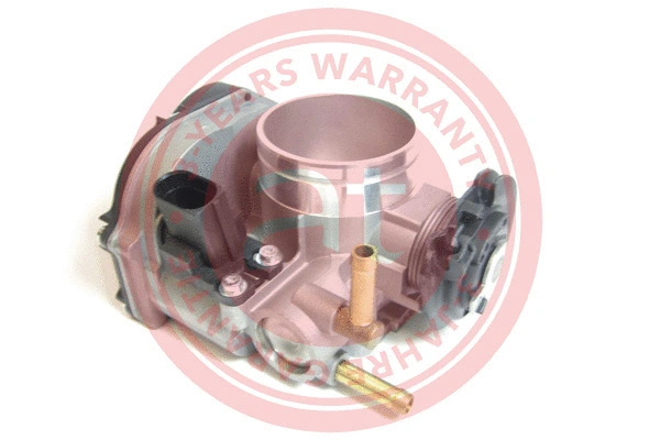 Throttle Body (at20115)