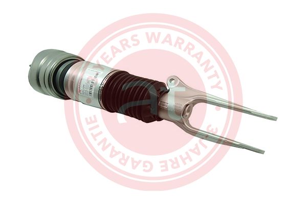 Air Suspension Strut (at10885)