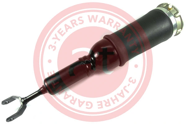 Air Suspension Strut (at10503)