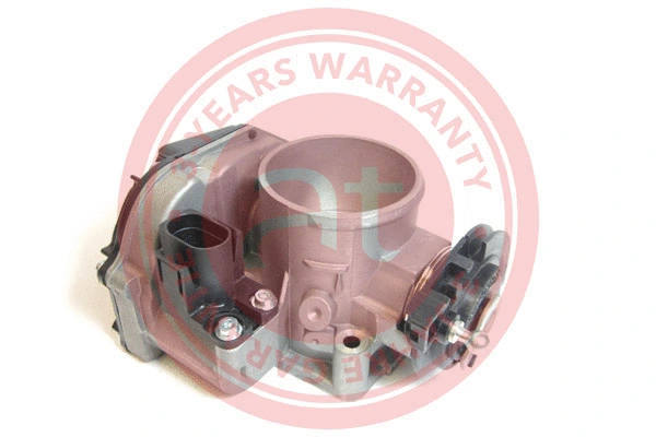 Throttle Body (at20113)
