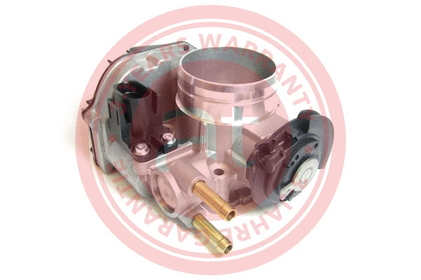 Throttle Body (at20103)