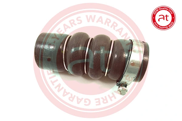 Charge Air Hose (at21789)