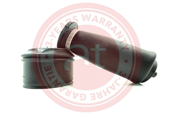 Air Spring, suspension