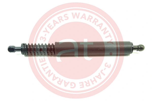 Gas Spring, boot/cargo area