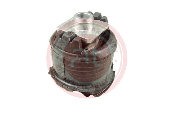 Bushing, axle beam (at10909)