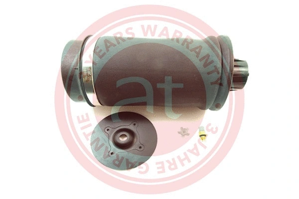 Air Spring, suspension (at10144)