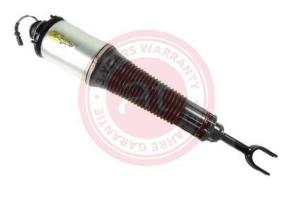 Air Suspension Strut (at10491)