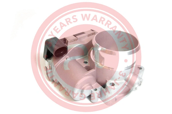 Throttle Body (at20081)