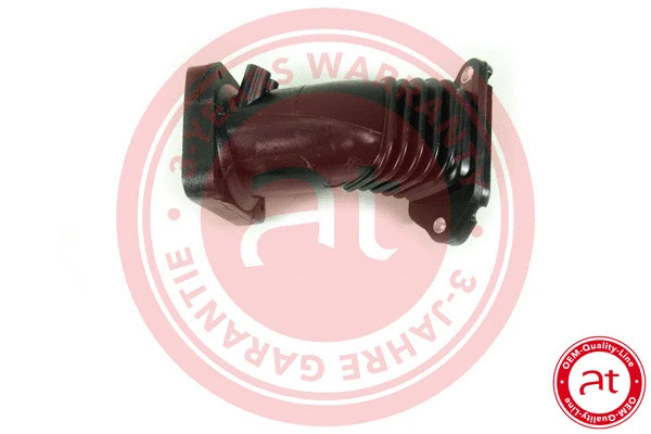 Intake Hose, air filter (at21795)