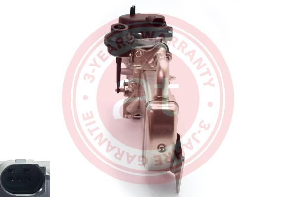 EGR Valve