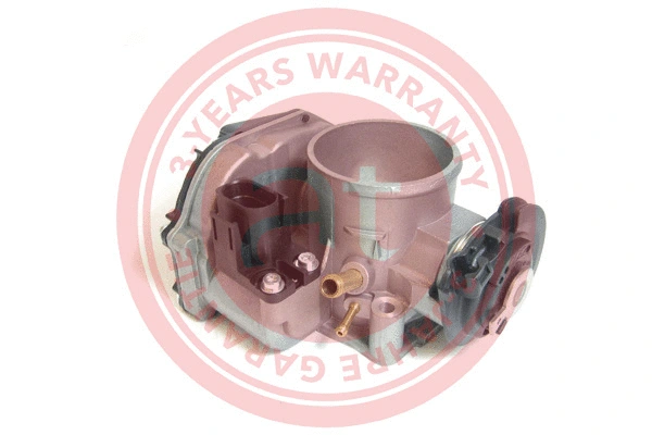 Throttle Body (at20109)