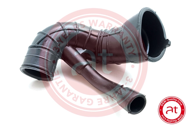 Intake Hose, air filter (at21717)