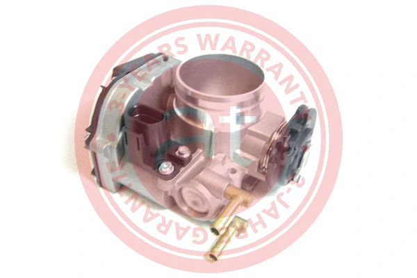Throttle Body (at20106)