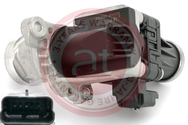 EGR Valve