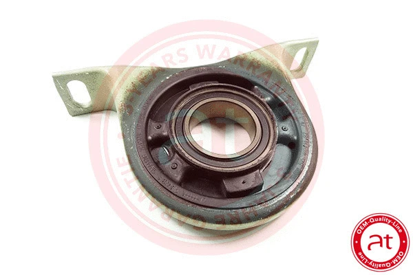Suspension, propshaft (at10913)