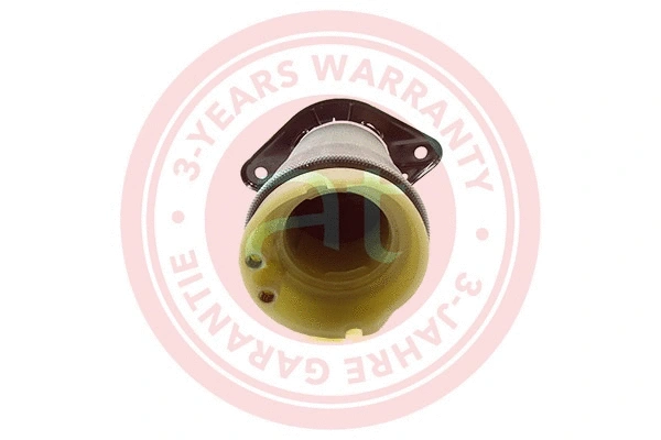 Air Spring, suspension