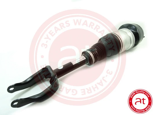 Air Suspension Strut (at10272)