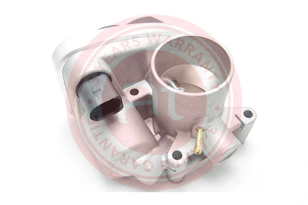 Throttle Body (at20075)