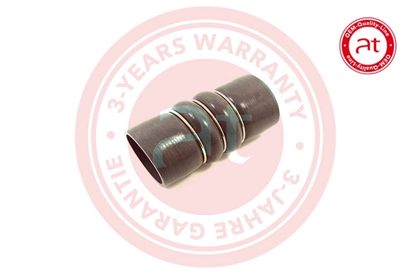 Charge Air Hose (at21188)
