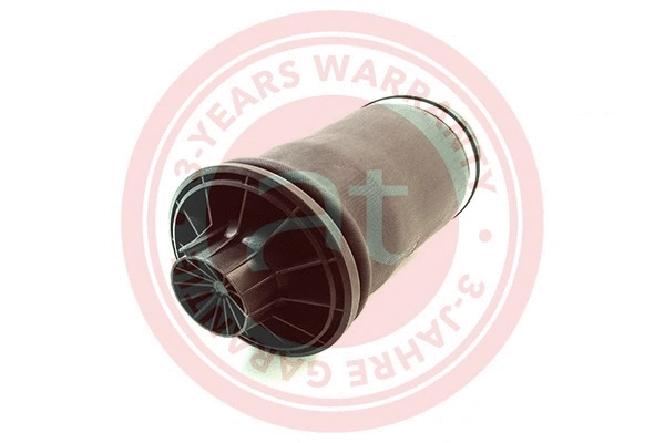 Air Spring, suspension