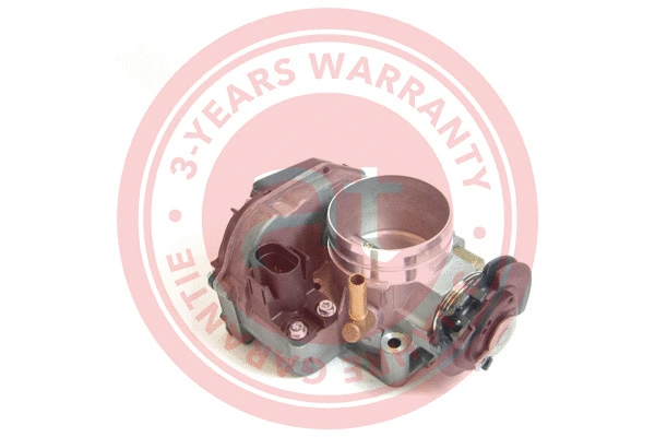 Throttle Body (at20107)