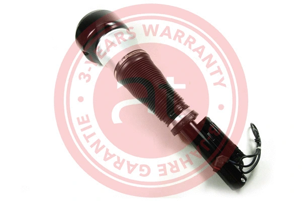 Air Suspension Strut (at10257)