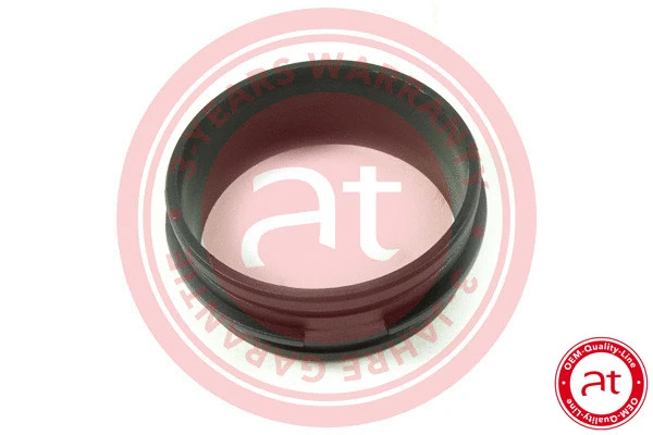 Intake Hose, air filter (at21247)