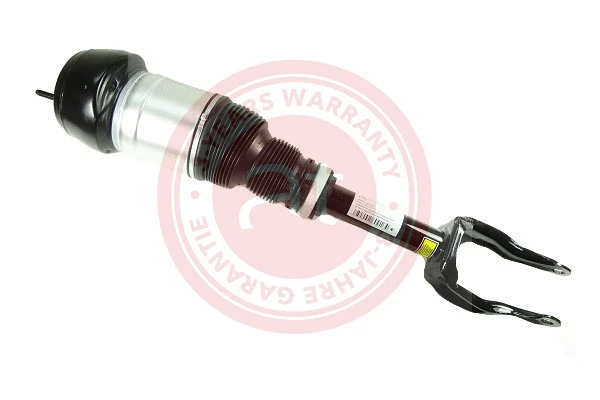 Air Suspension Strut (at10475)