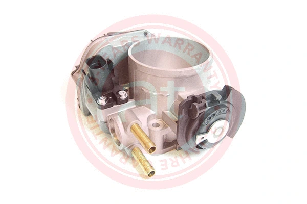 Throttle Body (at20118)