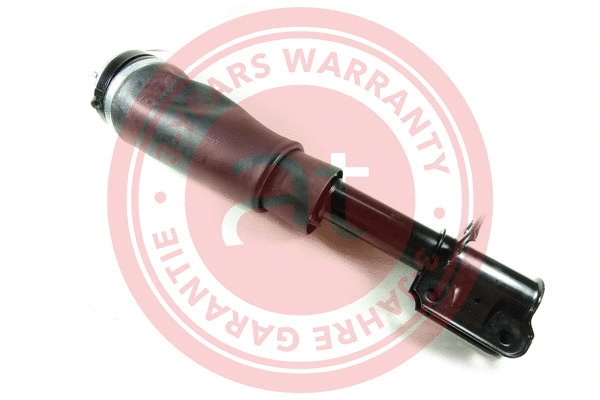 Air Suspension Strut (at10527)