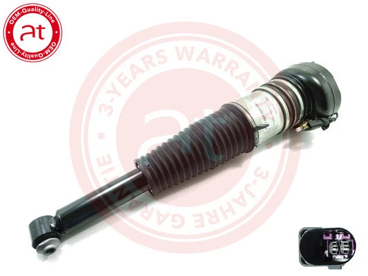 Air Suspension Strut (at10275)