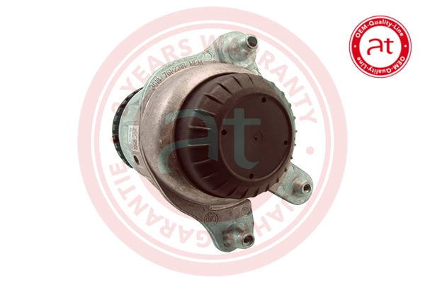 Mounting, engine (at10835)