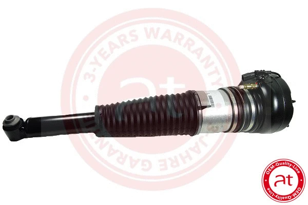Air Suspension Strut (at10193)
