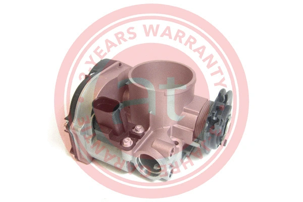 Throttle Body (at20114)