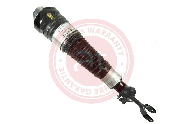 Air Suspension Strut (at10499)
