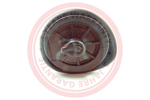 Air Spring, suspension