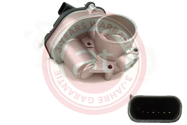 Throttle Body (at20091)