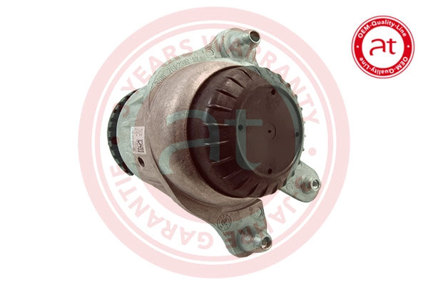 Mounting, engine (at10827)