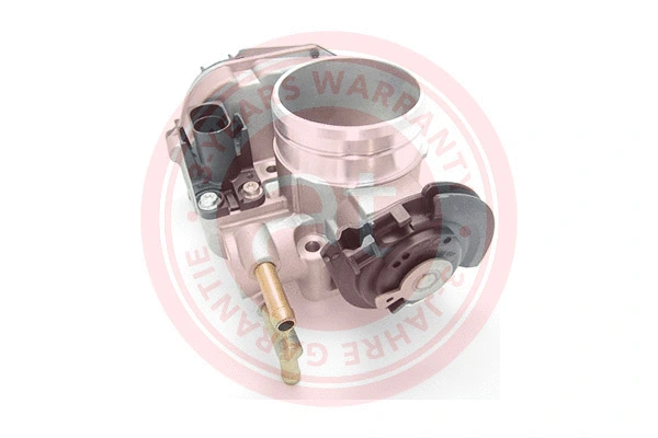 Throttle Body (at20104)