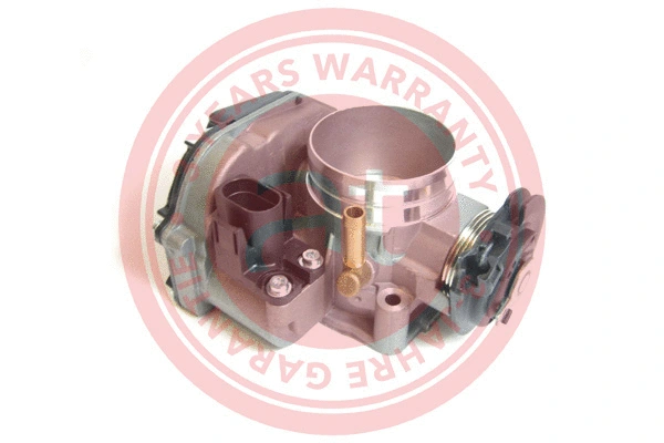 Throttle Body (at20110)