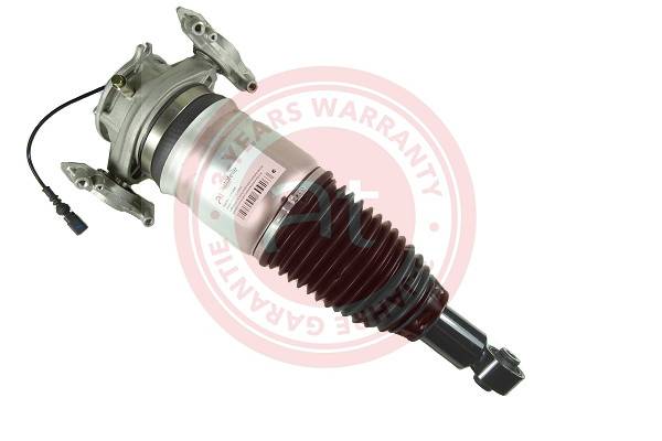Air Suspension Strut (at10485)