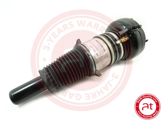 Air Suspension Strut (at10198)