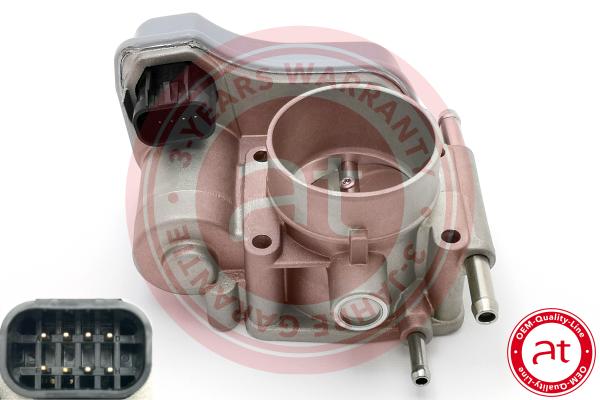 Throttle Body (at23246)
