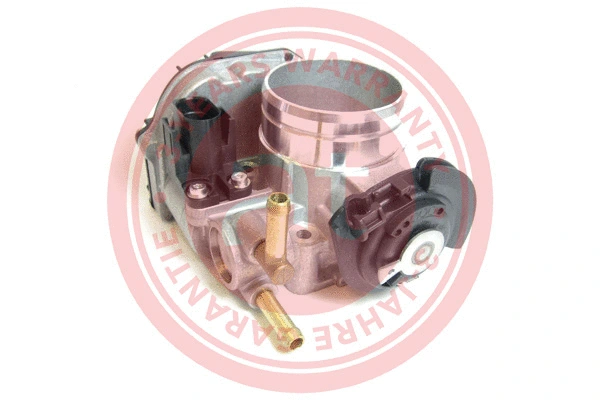 Throttle Body (at20101)