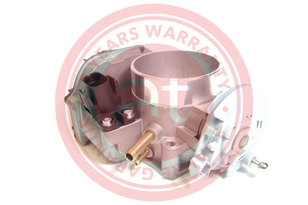Throttle Body (at20116)