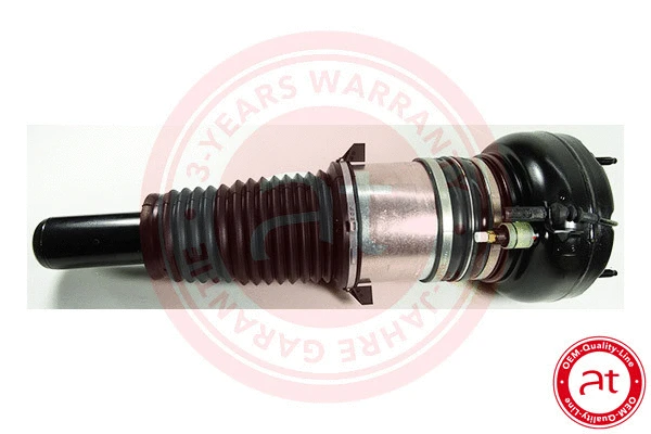 Air Suspension Strut (at10215)