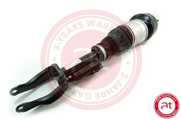 Air Suspension Strut