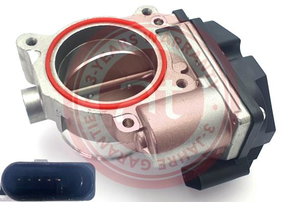 Throttle Body (at23209)