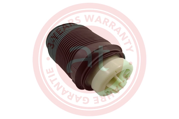 Air Spring, suspension